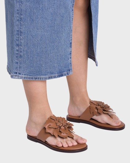 Wonders.com | Sandalias MUSA 87K Marrones AB-1587K MOUSSE